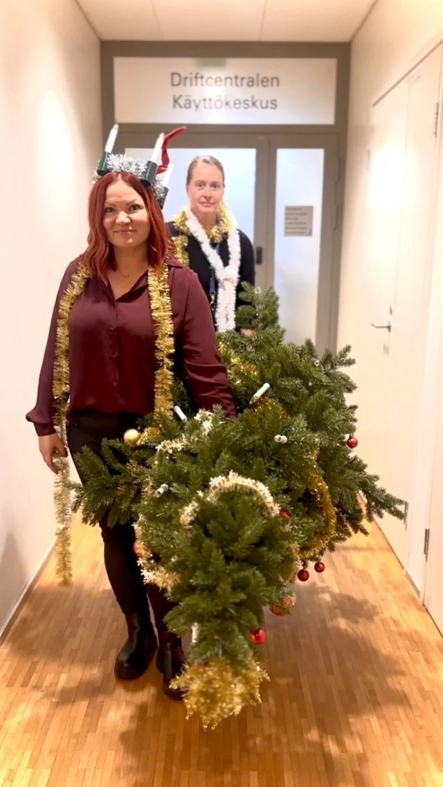 Meidän joulufanit pitävät huolen, että toimisto on valmiina juhlaan! ✨🎄

Våra julpeppade medarbetare fixar stämningen, kontoret är redo! ✨🎄

#herrfors